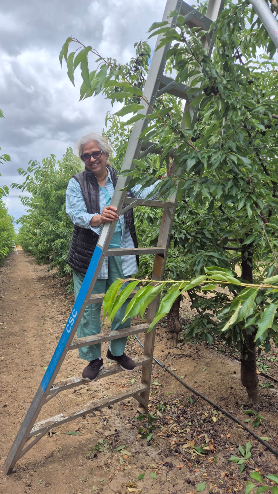 Senior enjoying a Sawari day trip