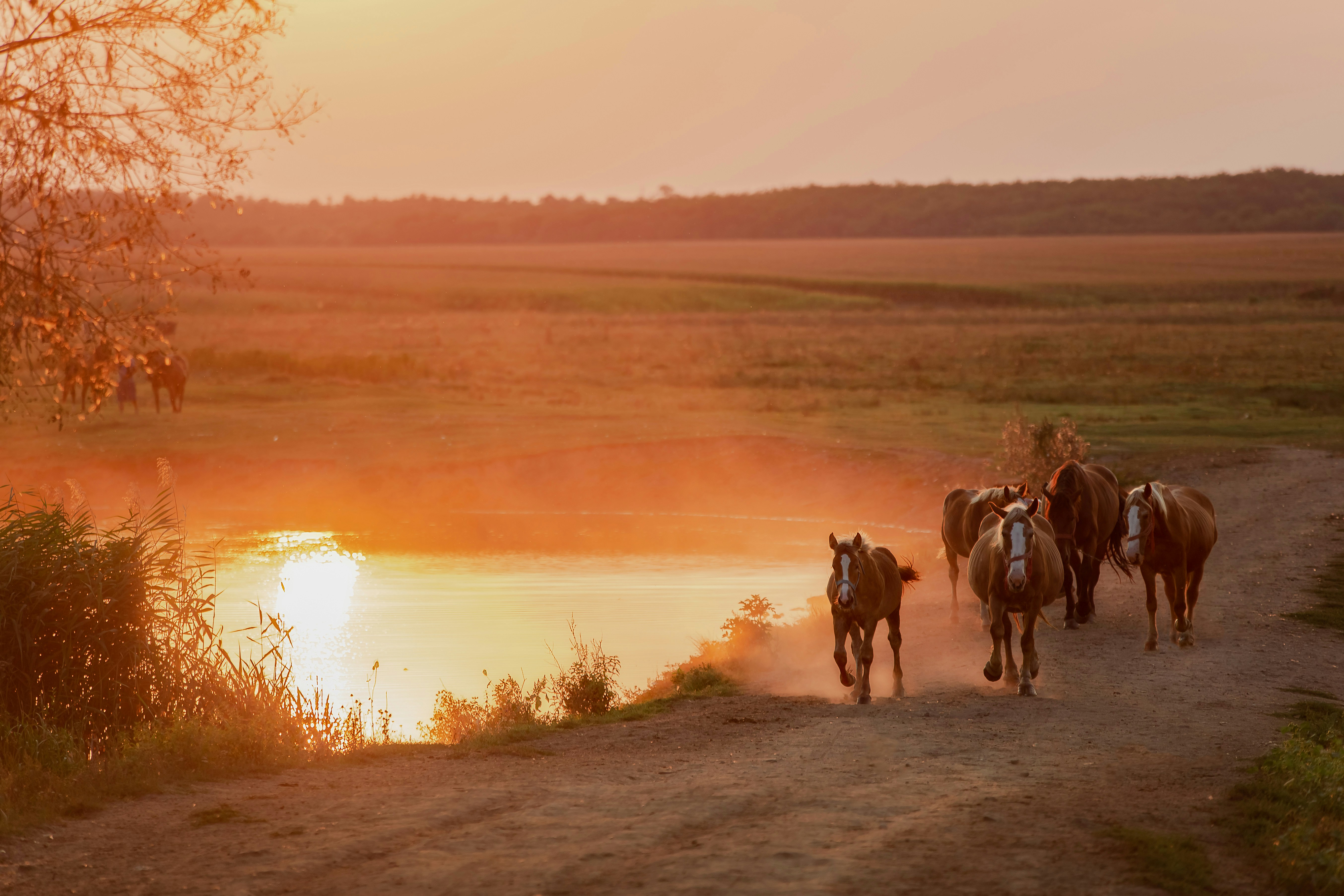 Sawari: Lancaster Countryside Escape is now sold out