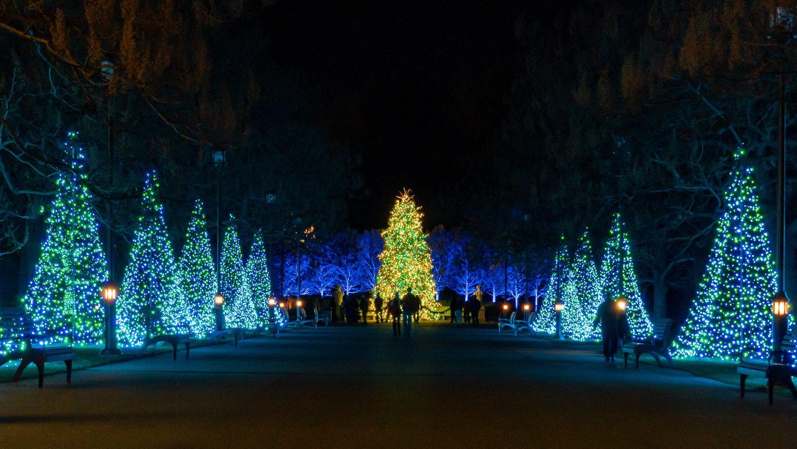 Day Trip - A Longwood Christmas